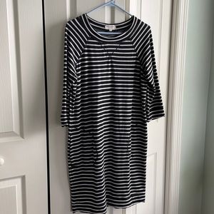 Max studio body con sweater dress